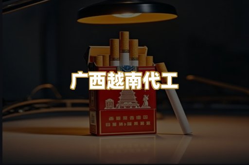 广西越南代工